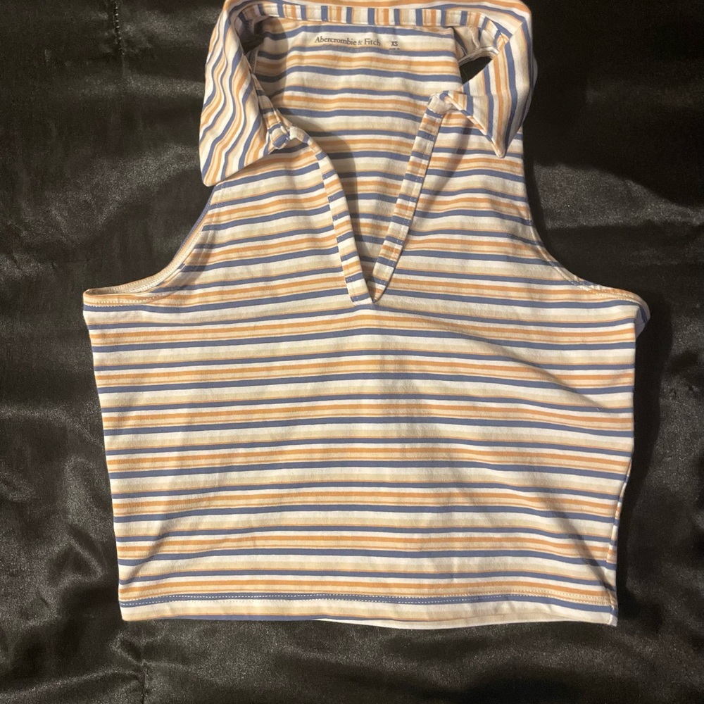 Abercrombie & Fitch Blue and Tan Striped Top